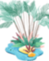 Oasis