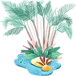 Oasis des transitions humaines et écologiques