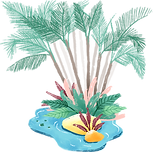 Oasis