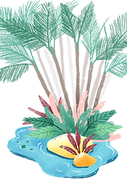 Oasis