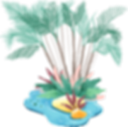 oasis