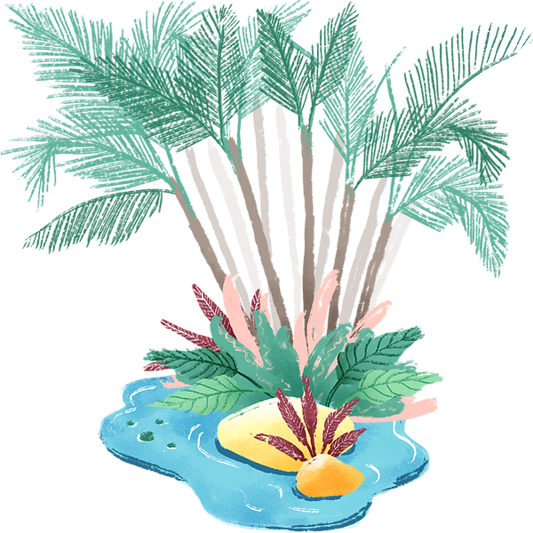 Oasis