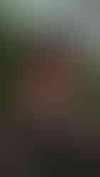 Mateo Herrera, Soldado Quindiano