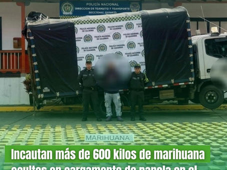 incautan 629 kilos de marihuana ocultos en cargamento de panela