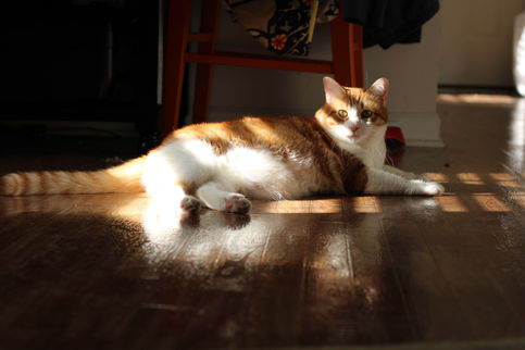 16.Lighting 3.jpeg