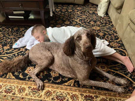Ozzy: The Dog Who Accidentally Retired a Runaway