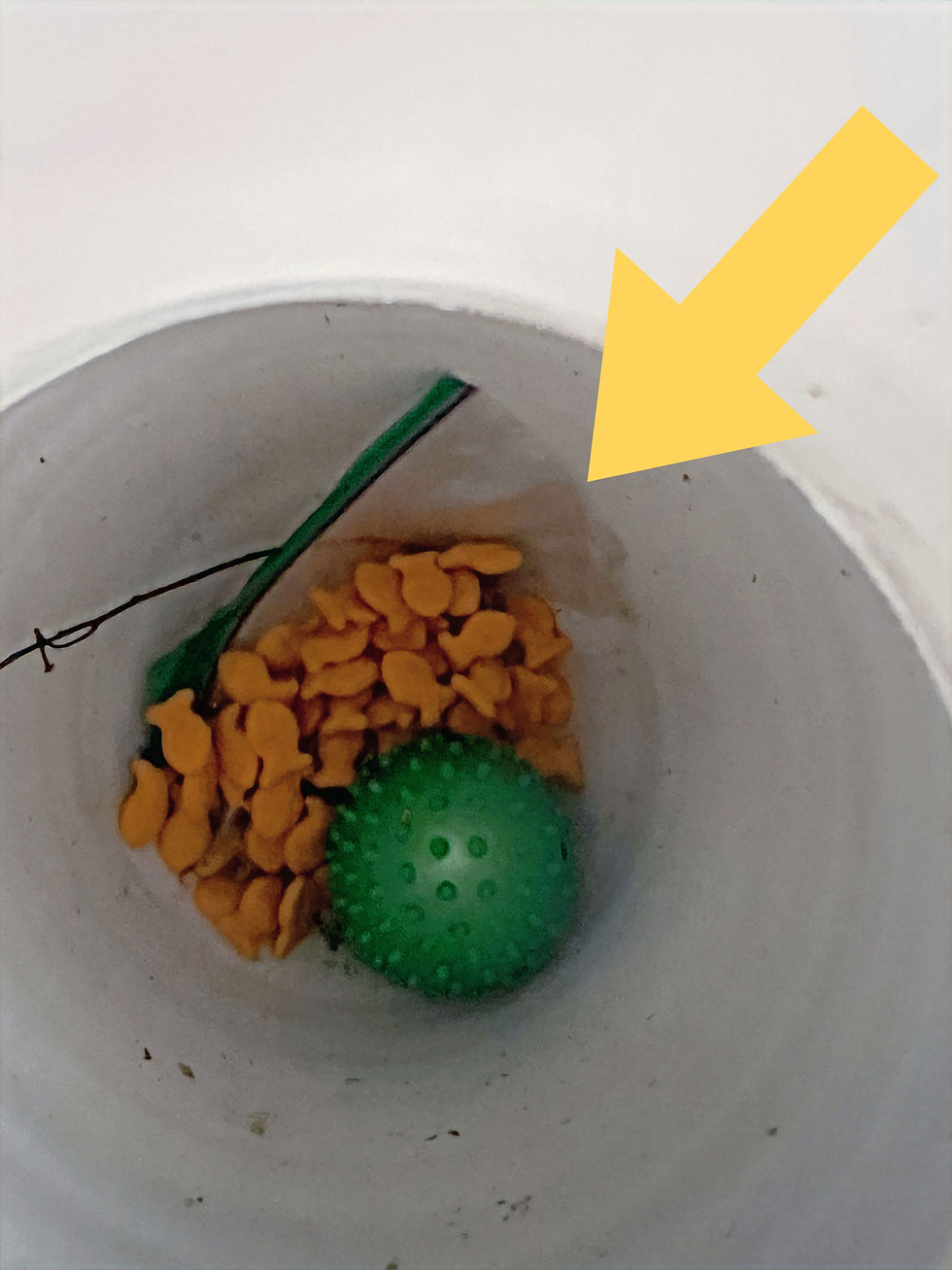 The decorative vase with Noah's secret stash.