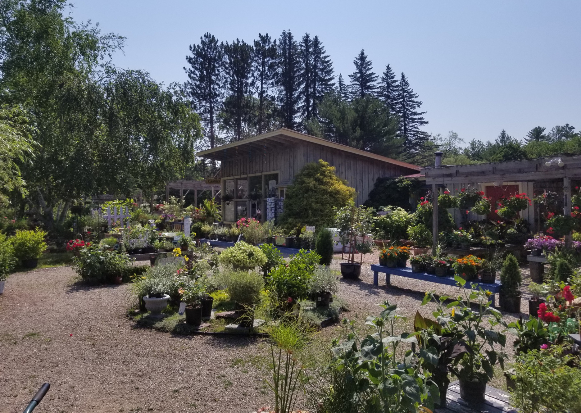 Mcsherry's Nursery & Garden Center Conway, NH about