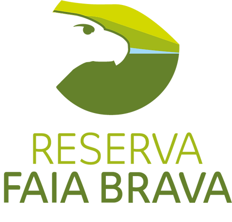 logo FAIA BRAVA 2021.webp