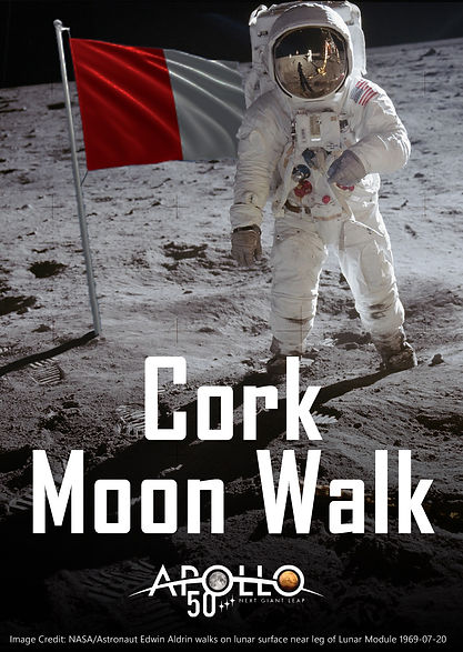 MoonWalk_Back.jpeg