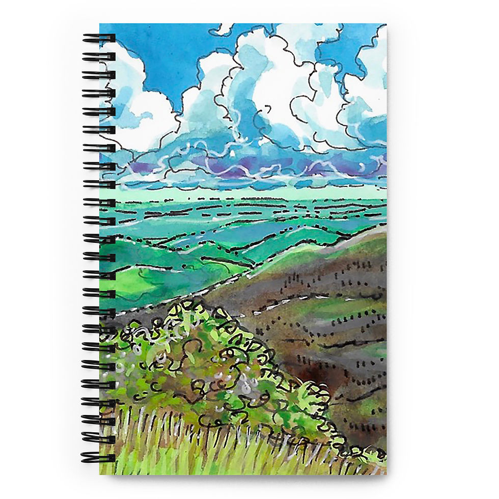 BLUE VIEW Spiral notebook