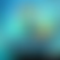 พาสปอร์ตนิวซีแลนด์"ทรงพลังอันดับ 6 ของโลก"