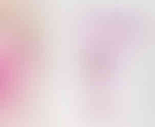 Facebook-Layout