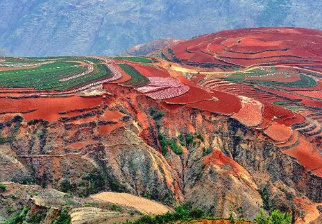 Dongchuan Red Soil