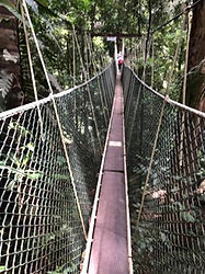Canopy Walkway