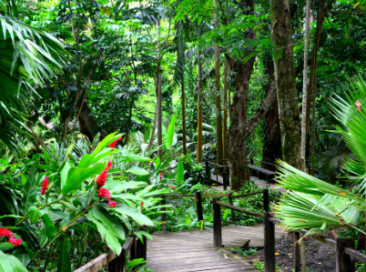 GARDEN OF THE SLEEPING GIANT