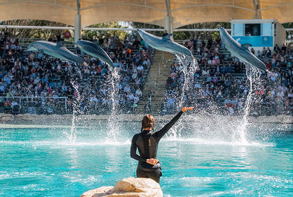 Theme park -sea world