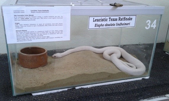 snake & reptile park