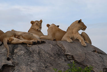 NGORONGORO CONSERVATION AREA