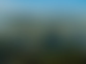 Arodal Stands by Our Motto: "For a Cleaner Tomorrow"