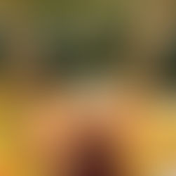 5 Things Plants Taught Me About Harmony