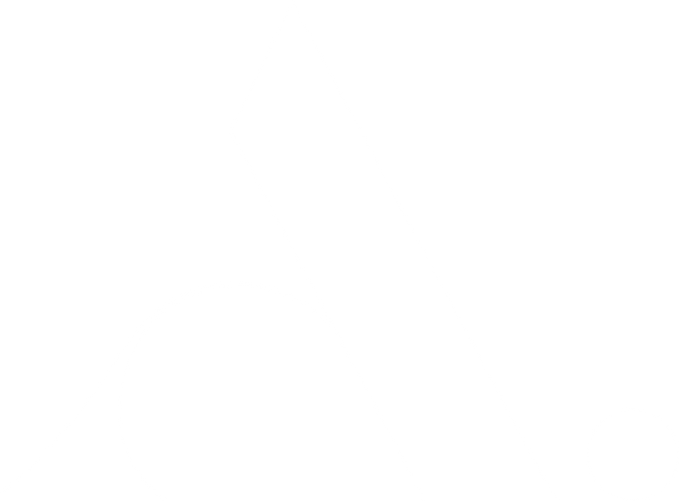 NA_Monogram_WHITE_240607.png