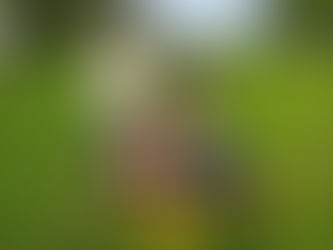 UAV Drone Training dengan CV. Nusantara