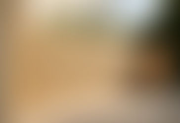 Palissades bois sur mesure avec porte intégrée : l'aménagement de jardin avec élégance