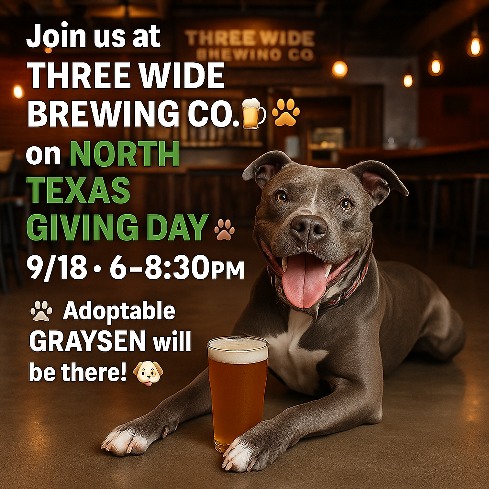 NTGD at Three Wide Brewing Co!