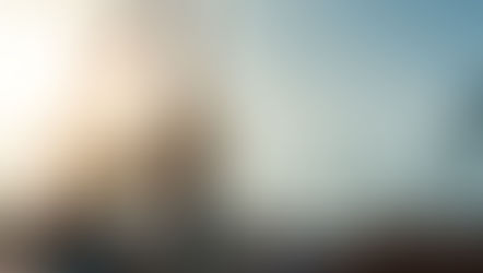 技能実習2号を終えた外国人の採用を検討するなら、費用や要件の違いを比較