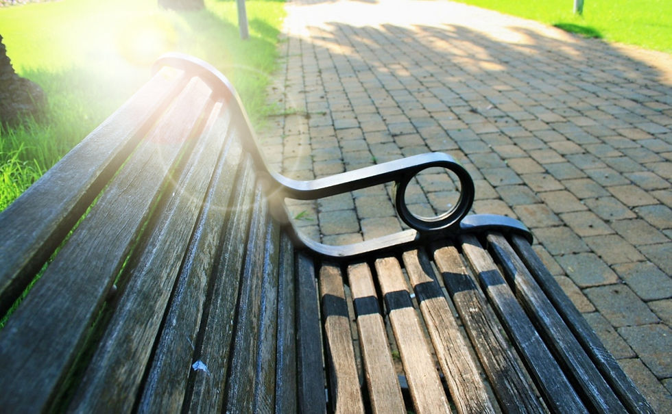 bench_edited.jpg