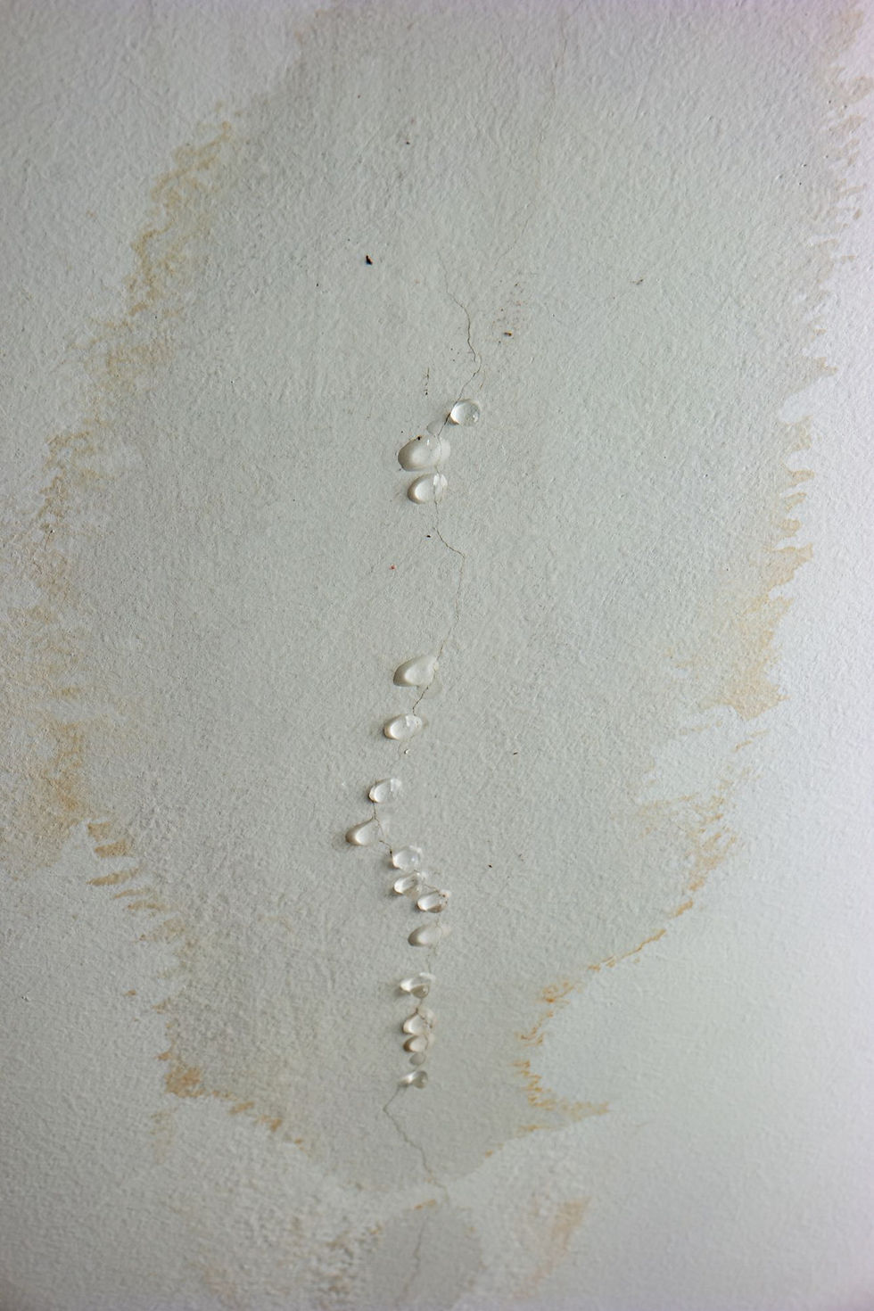 Signs Of A Water Leak In Your Home