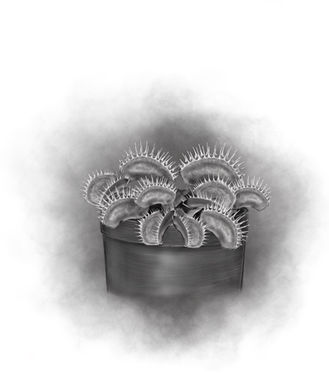 Venus Flytrap - 'Planta Sapiens'