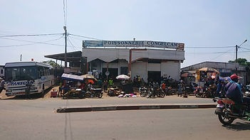 image00054.jpeg