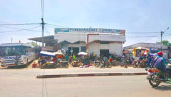 Kribi