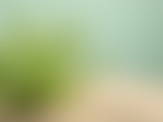 Exploring Salicornia: The Green Plant with Global Potential