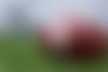 USC & UCLA Prove All That Matters is Money; Time for An Academic League?