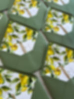Lemon Envelopes from the lemon gatefold suite