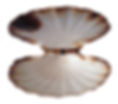 LES COQUILLES DE DEGUSTATION