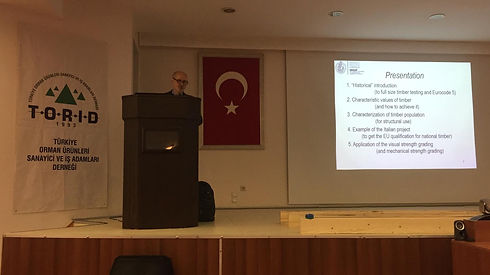Doç._Marco_Togni__Yapısal_özellikleri_te