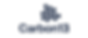 Carbon13