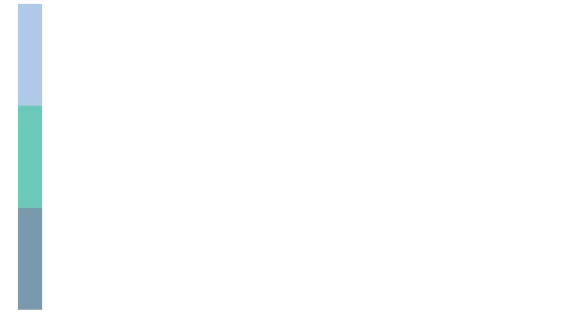 BSC.png