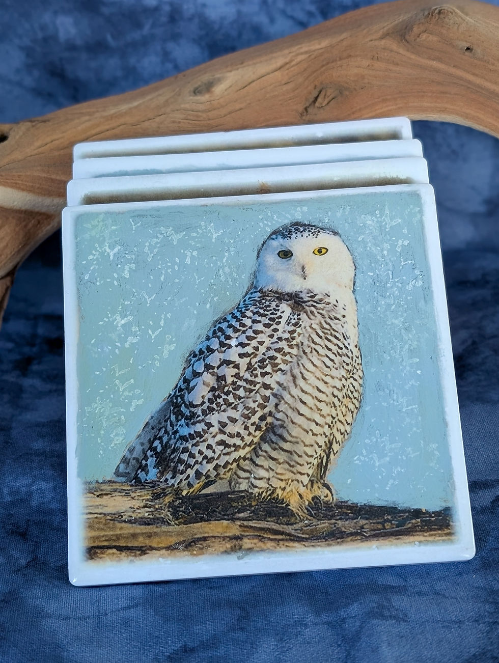 Thumbnail: Snowy Owl Coasters