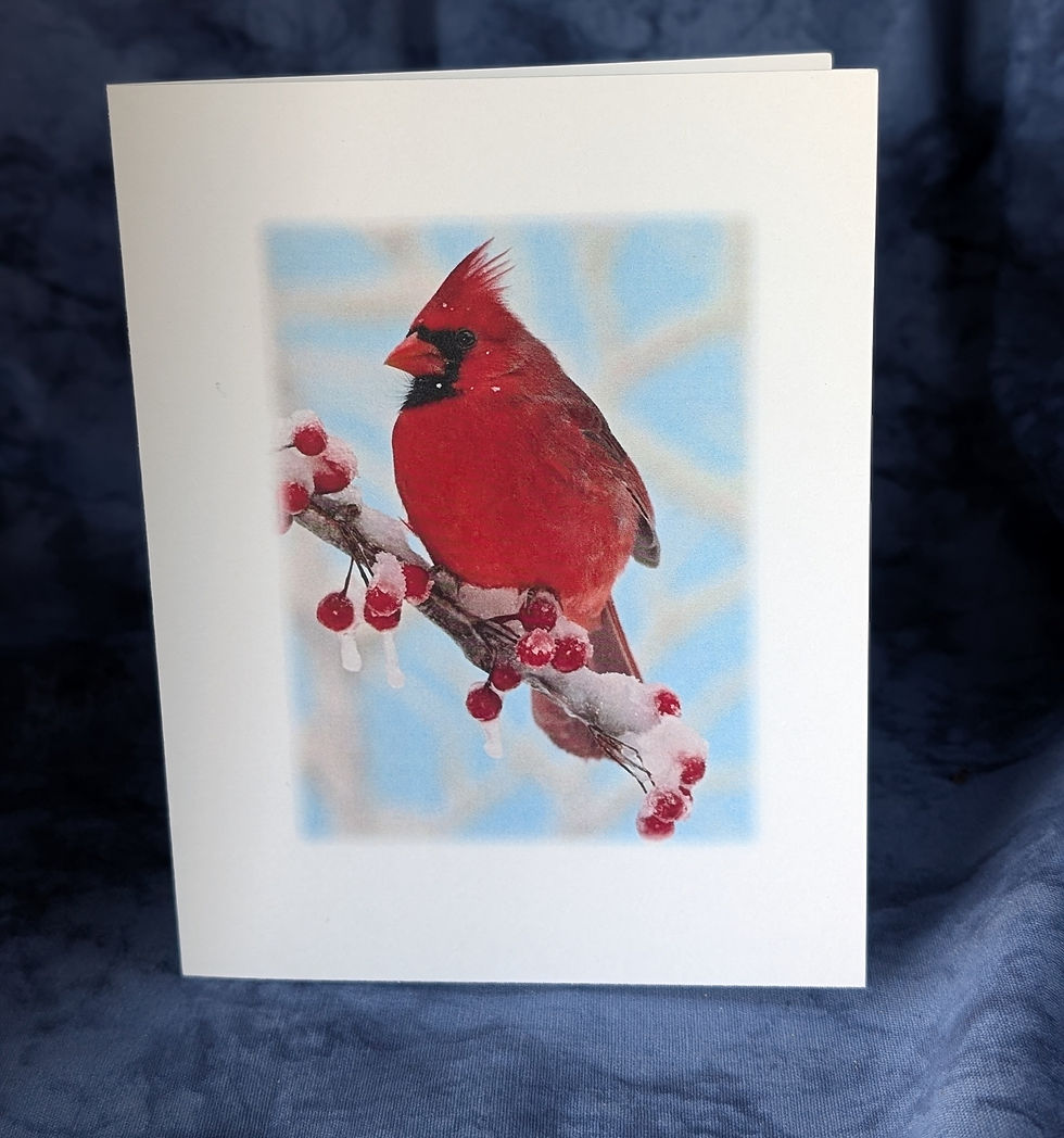 Thumbnail: Cardinals Note Card Set