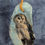 Thumbnail: Barred Owl Oyster Shell Ornament