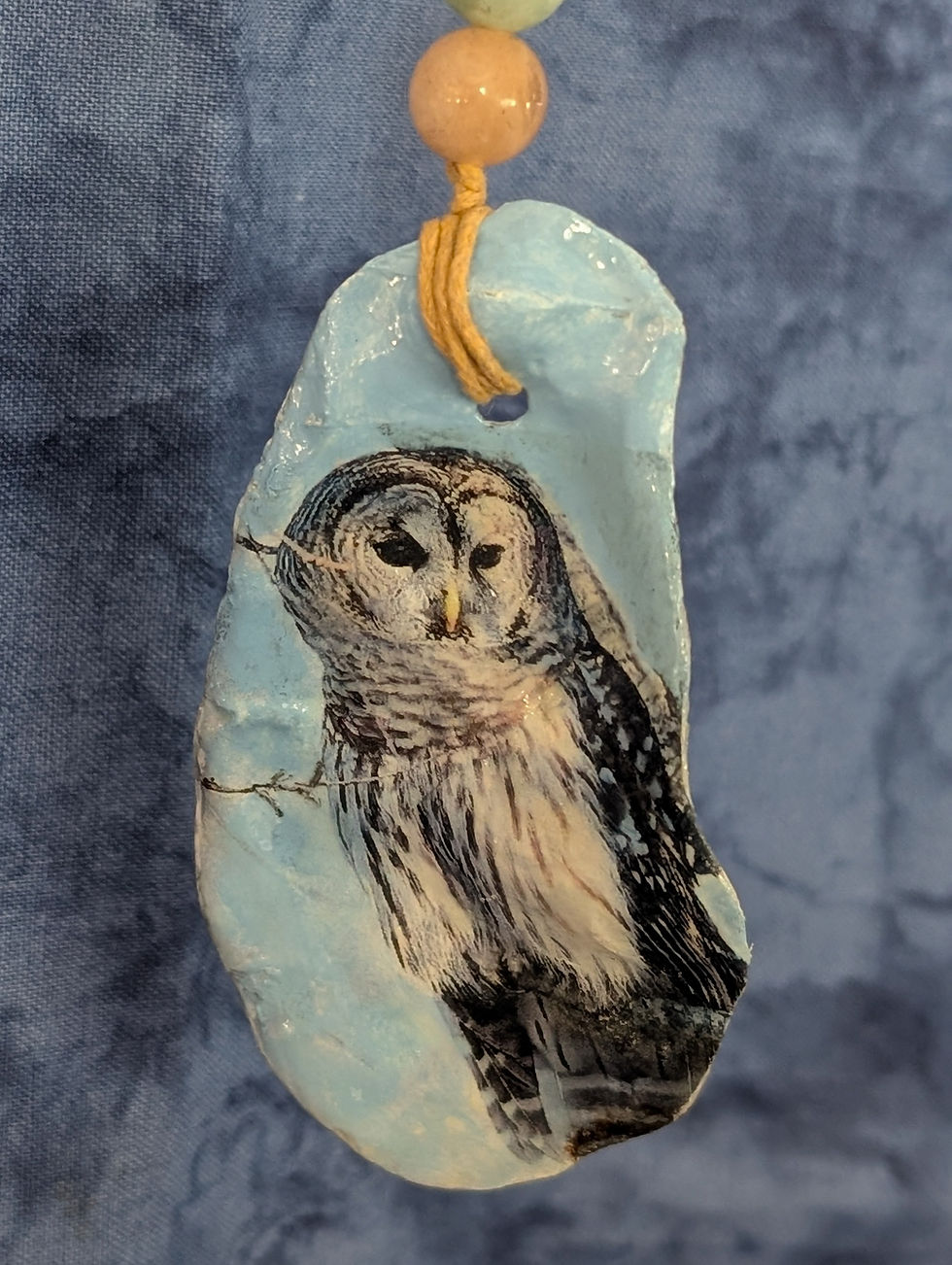 Thumbnail: Barred Owl Oyster Shell Ornament