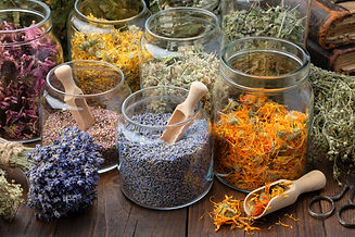 Glass jars of dry lavender and calendula flowers. Jars of dry medicinal herbs for making h