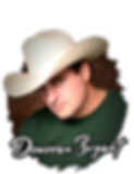 DB_photographic2_edited.png