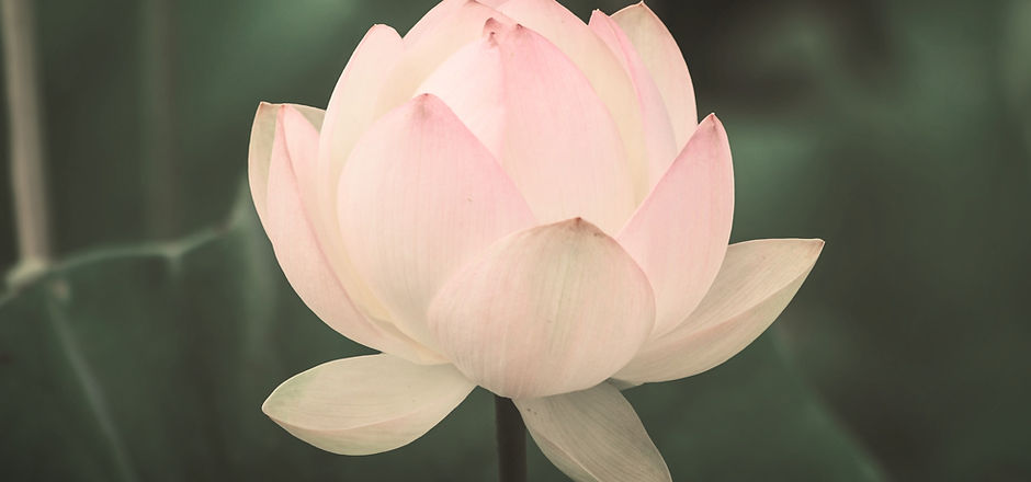 Calming, relaxing treatments from Blossomingsoulswellbeing