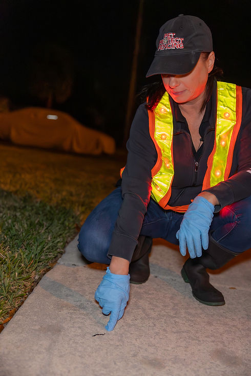 Collection Technician pointing to a worm | Toad Busters - Florida Cane Toad Removal | Serving Southwest & Southeast Florida